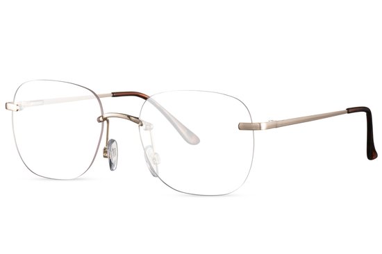 6026 Zonnebril Frame Loos | Randloze Zonnebril | Doorzichtige Zonnebril | Transparante Zonnebril | Festival Bril | Dames & Heren Zonnebril | Goud Montuur | Transparante Lens | Rimless Glasses | Zwart / Mat goud | + Brillen sleeve & Brillendoek