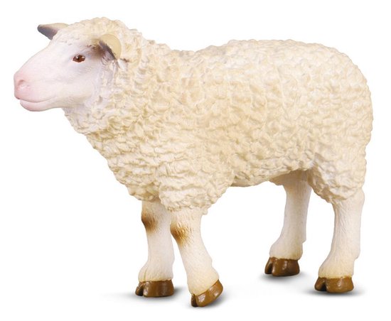 BOERDERIJDIEREN: SCHAAP 7 X 5 CM van Kids Globe