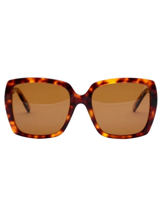 Bril Bruin Club zonnebrillen bruin van Clubmaster