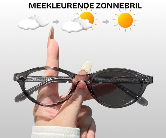 Flavers® - meekleurende zonnebril - zonnebril dames - Grijs - zilver - meekleurende glazen - festival bril van Merkloos