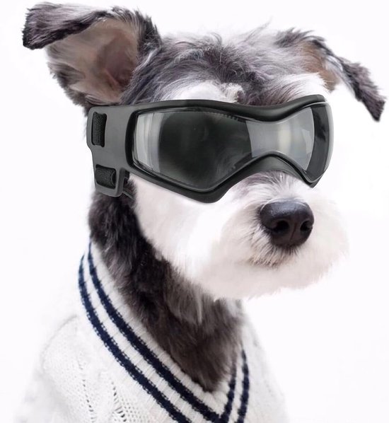 Hondenbril, anti-uv waterdicht, winddicht, instelbaar, hondenzonnebril, modieuze veiligheidsbril, geschikt voor kleine en middelgrote honden (zwart)