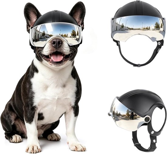 Hondenhelm met gaatjes in de oren, huisdierhelm met opklapbare lens