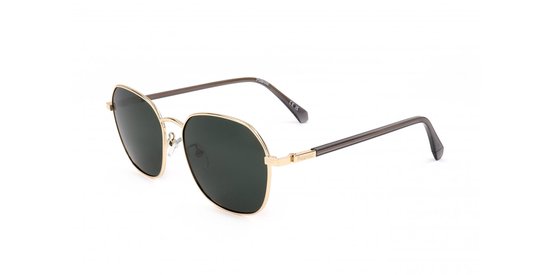 Polaroid PLD 4168/G/S/X Gold green 55/17/145 MAN Zonnebrillen
