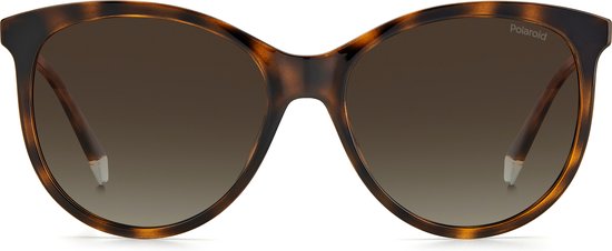 POLAROID Zonnebril (PLD4131/S/X) Volwassenen Bruin Volledig omrand Polarizerend van Polaroid
