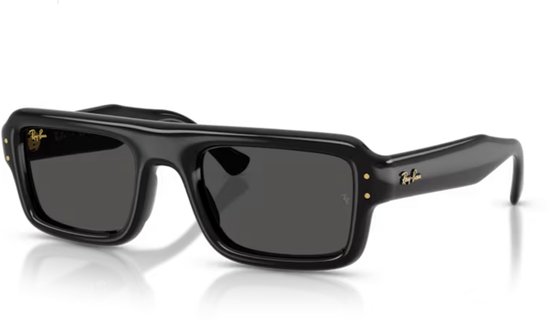 Ray-Ban Flacko Puffer RB4954 601/87 - Black - Ultra Black - Maat 54
