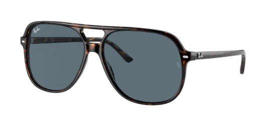 Ray Ban RB2198 Bill - Bruin van Merkloos