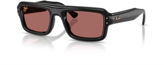 RAY-BAN RB4954 FLACKO PUFFER Glanzend Zwart Violet