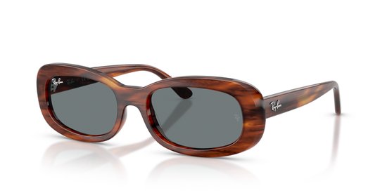 Ray-Ban zonnebril 0RB2221 van Merkloos