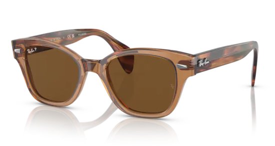 RB 0880 - Bruin van Merkloos