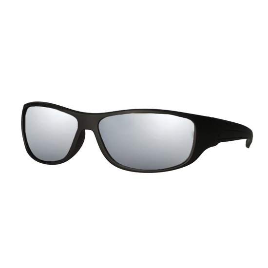 Spectrum Zonnebril Mat Zwart Zilver Glas van Merkloos