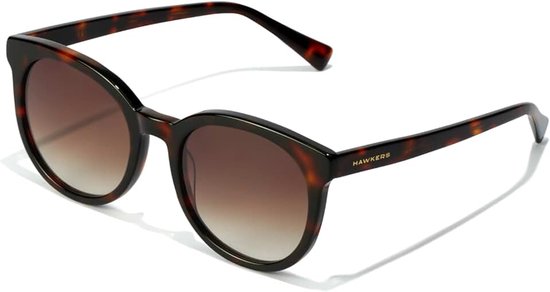 · Sunglasses RESORT for men and women · CAREY · BROWN
