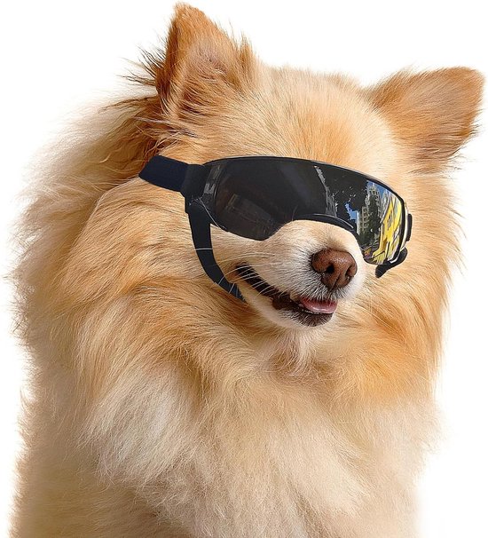 UV-Beschermende Hondenbril - Winddicht en Anti-Moe voor Kleine Honden van Merkloos