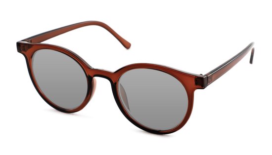 Zonnebril CLASSIC-Crafty Brown van Ray-Ban