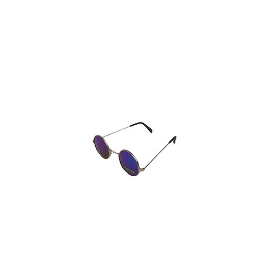 Zonnebril COACHALLA - Festival Bril - Rave - UV 400 - Zilver Blauw - Ronde zonnebril - Shades - Unisex - Volwassen van COACHALLA