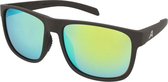 Zonnebrillen Alpina Nacan III Coffee Grey Matt van Merkloos