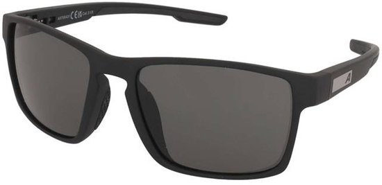 Zonnebrillen Alpina Stream Black Matt/Black