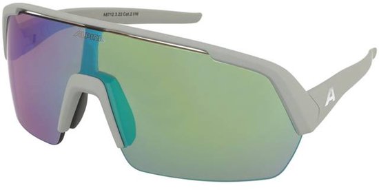 Zonnebrillen Alpina Turbo HR Smoke Grey Matt